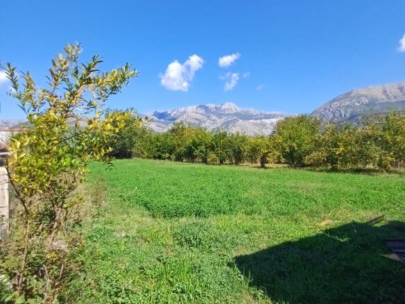 Plot in Polje/ Bar with old house for sale – B88