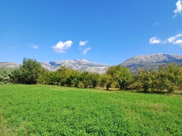 Plot in Polje/ Bar with old house for sale – B88