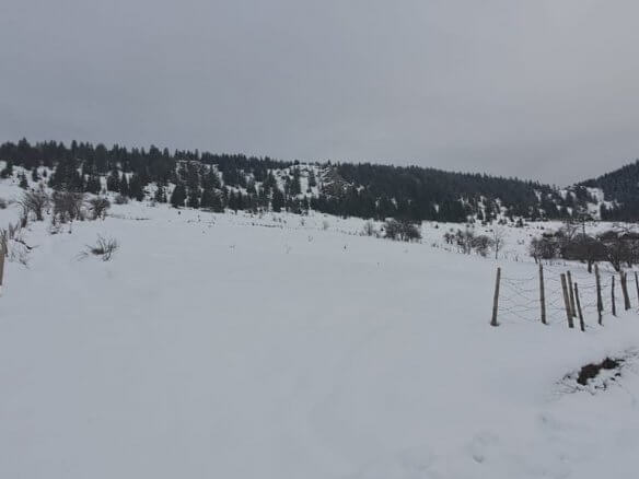 Grundstück in Rožaje zum Kauf – Ro05