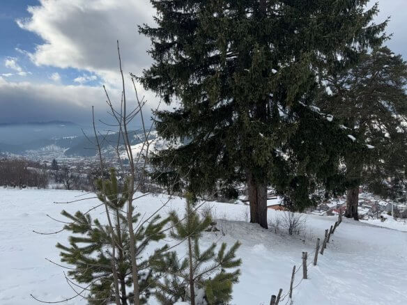 Prodaje se zemljište u Rožajama – Ro06