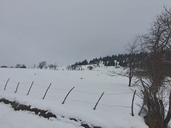 Grundstück in Rožaje zum Kauf – Ro05