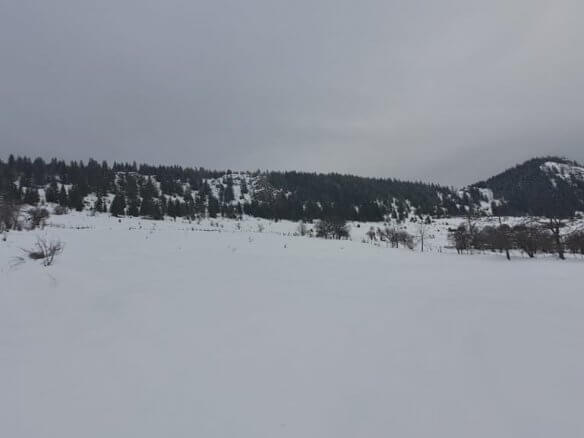 Grundstück in Rožaje zum Kauf – Ro05