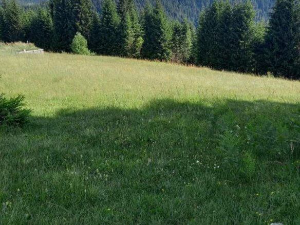 Prodaje se zemljište u Rožajama – Ro03
