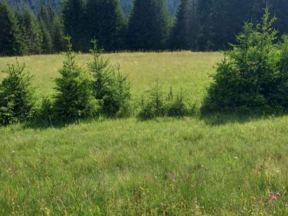 Prodaje se zemljište u Rožajama – Ro03