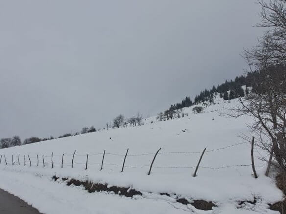 Grundstück in Rožaje zum Kauf – Ro05
