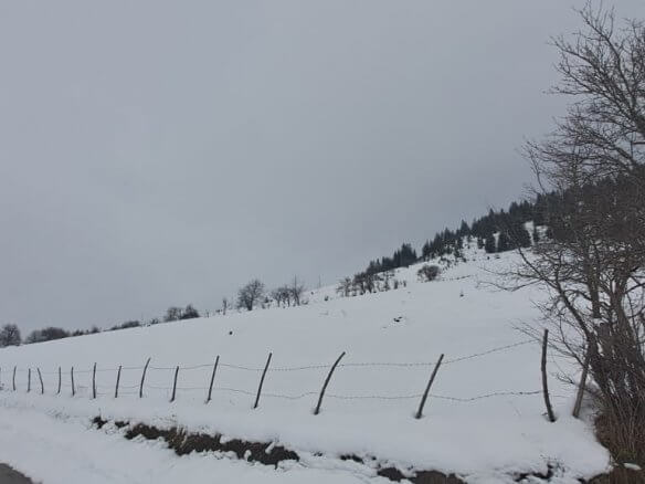 Grundstück in Rožaje zum Kauf – Ro05