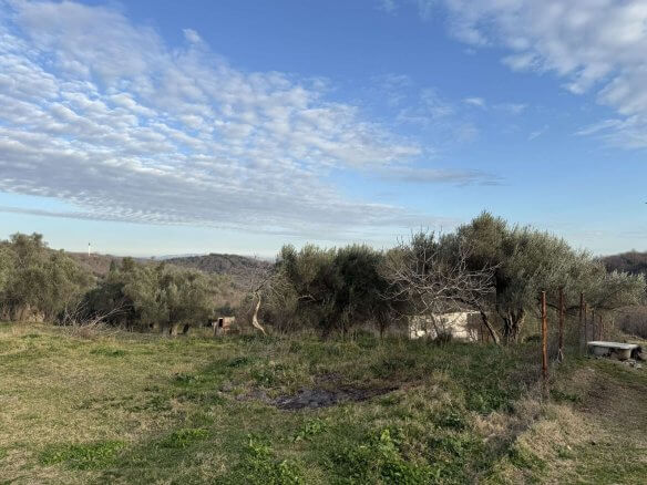 Prodaje se urbanizovan plac u Kolomzi/ Ulcinj – Ul05
