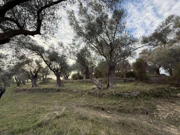 Prodaje se urbanizovan plac u Kolomzi/ Ulcinj – Ul05
