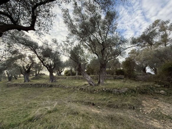 Prodaje se urbanizovan plac u Kolomzi/ Ulcinj – Ul05
