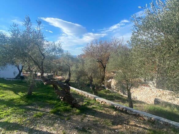 Plot in Bjeliši/ Bar for sale – B98