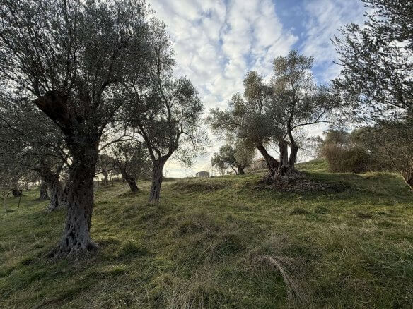 Prodaje se urbanizovan plac u Kolomzi/ Ulcinj – Ul05