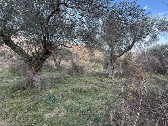 Prodaje se urbanizovan plac u Kolomzi/ Ulcinj – Ul05