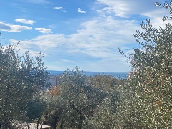 Plot in Bjeliši/ Bar for sale – B98