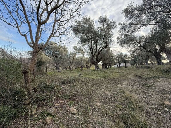Prodaje se urbanizovan plac u Kolomzi/ Ulcinj – Ul05