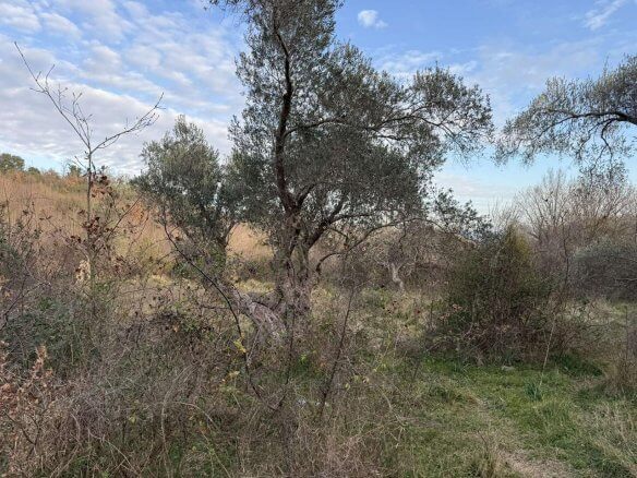 Prodaje se urbanizovan plac u Kolomzi/ Ulcinj – Ul05
