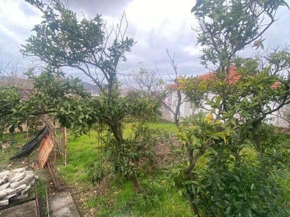 Old house in Popovići/ Bar for sale – BHK133