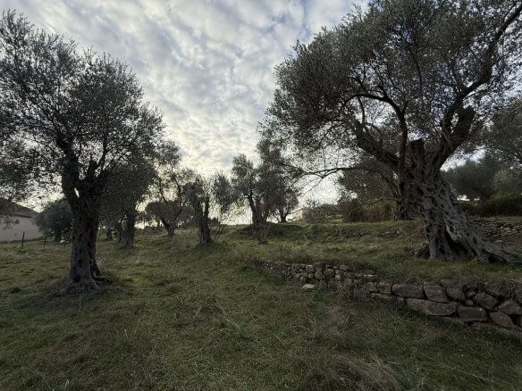 Prodaje se urbanizovan plac u Kolomzi/ Ulcinj – Ul05