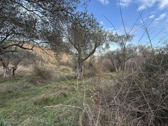 Prodaje se urbanizovan plac u Kolomzi/ Ulcinj – Ul05
