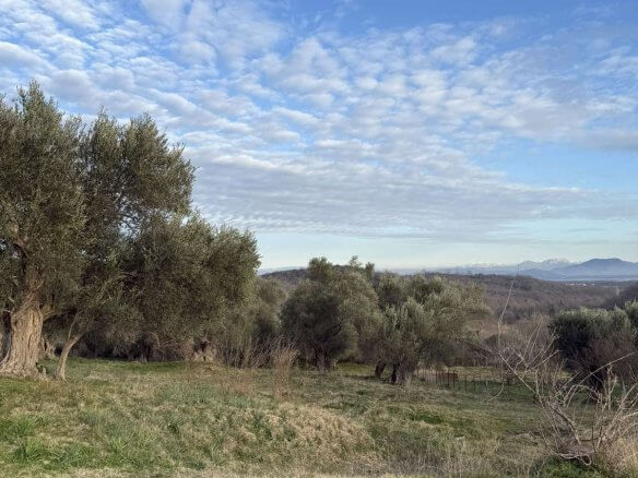 Prodaje se urbanizovan plac u Kolomzi/ Ulcinj – Ul05