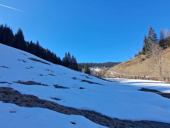 Grundstück in Rožaje zum Kauf – Ro11