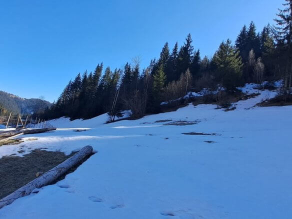 Grundstück in Rožaje zum Kauf – Ro11