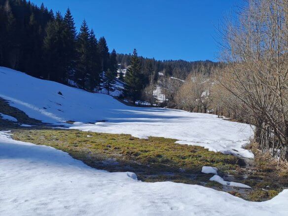 Grundstück in Rožaje zum Kauf – Ro11