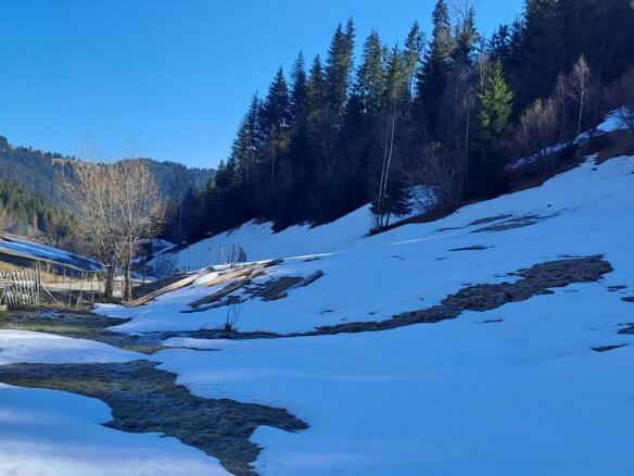 Grundstück in Rožaje zum Kauf – Ro11