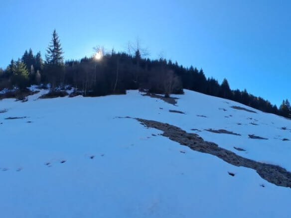 Grundstück in Rožaje zum Kauf – Ro11