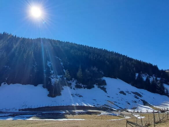 Grundstück in Rožaje zum Kauf – Ro11