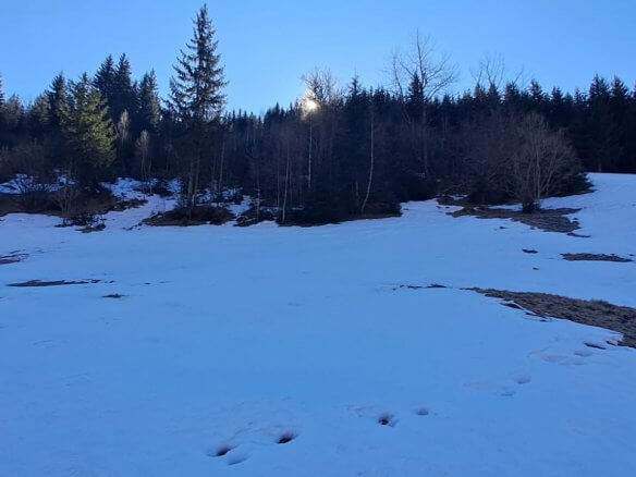 Grundstück in Rožaje zum Kauf – Ro11