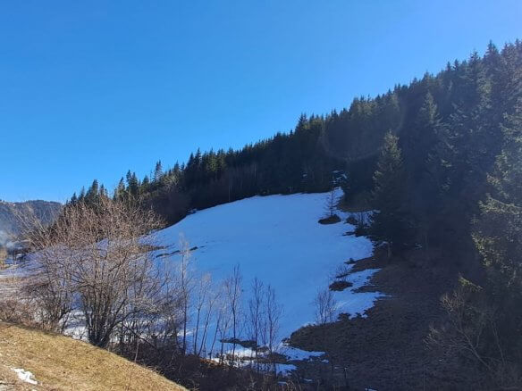 Grundstück in Rožaje zum Kauf – Ro11