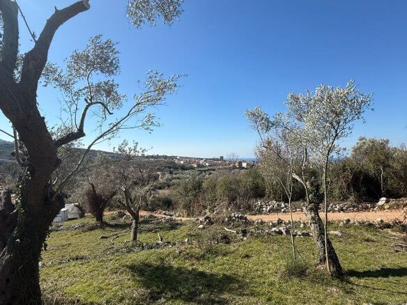 Land plot in Ravanj/ Pečurice for sale – P15