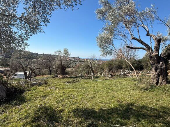 Land plot in Ravanj/ Pečurice for sale – P15