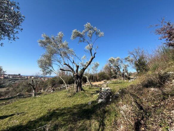 Land plot in Ravanj/ Pečurice for sale – P15