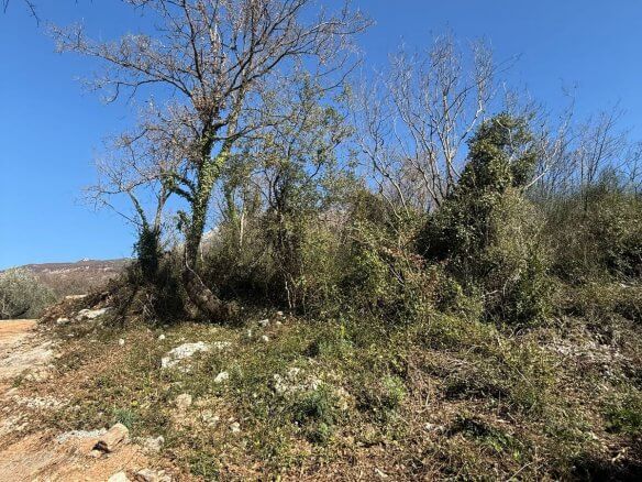 Land plot in Ravanj/ Pečurice for sale – P15