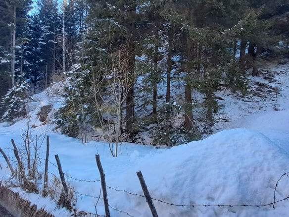 Grundstück in Rožaje zum Kauf – Ro15