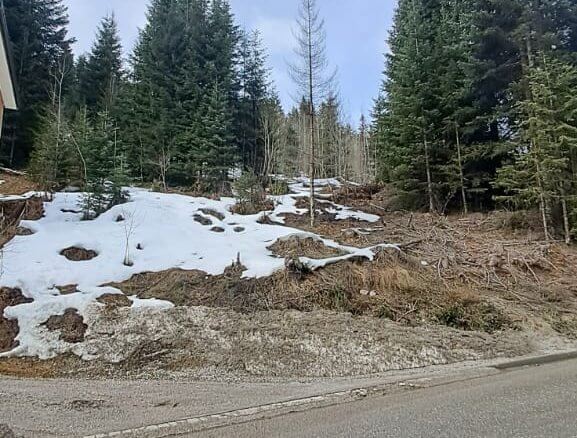 Grundstück in Rožaje zum Kauf – Ro19