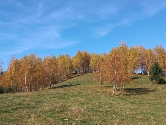 Grundstück in Rožaje zum Kauf – Ro16