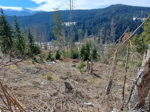 Plot in Rožaje for sale – Ro21