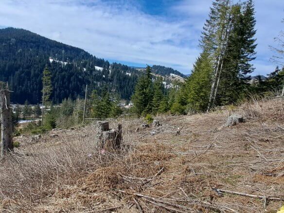 Plot in Rožaje for sale – Ro21