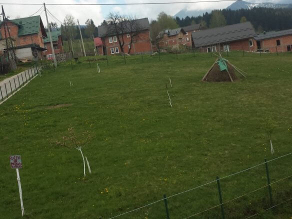 Grundstück in Rožaje zum Kauf – Ro24