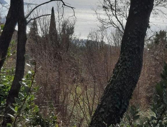 Plot in Dobra Voda for sale – DV67