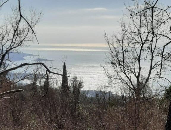Plot in Dobra Voda for sale – DV67