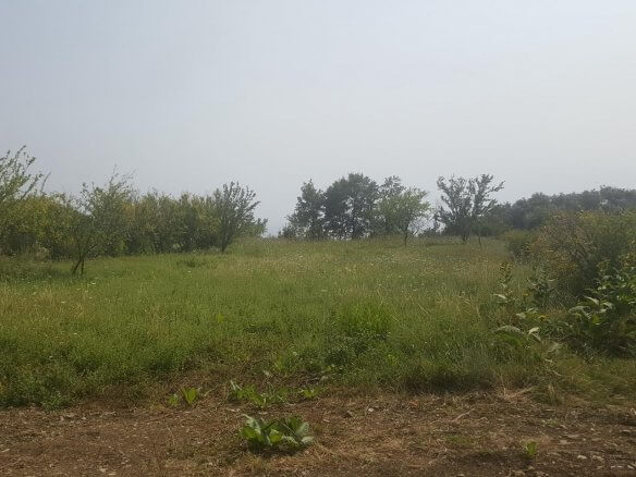 Plot in Dobra Voda for sale – DV67