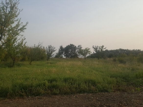 Plot in Dobra Voda for sale – DV67