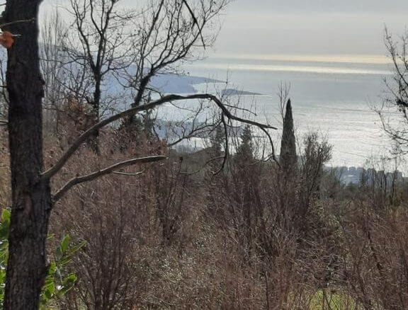 Plot in Dobra Voda for sale – DV67