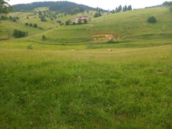 Grundstück in Rožaje zum Kauf – Ro25