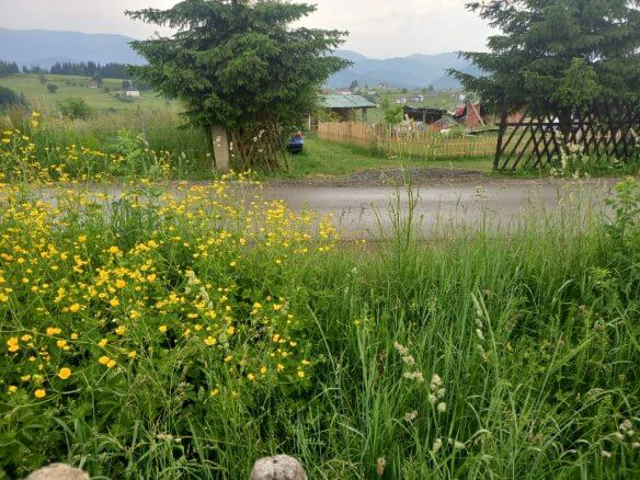 Grundstück in Rožaje zum Kauf – Ro25
