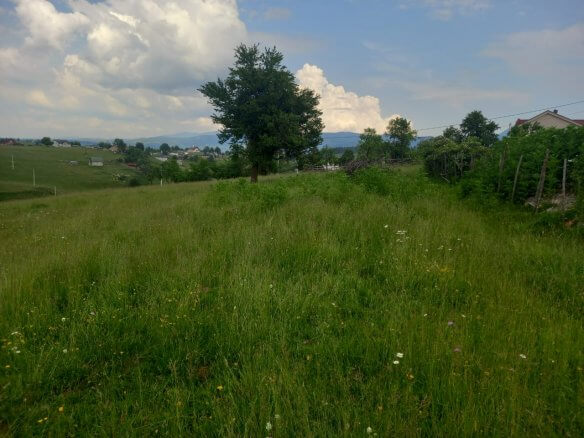 Grundstück in Rožaje zum Kauf – Ro25