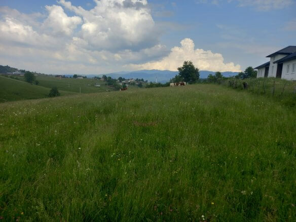 Grundstück in Rožaje zum Kauf – Ro25